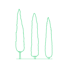 Plants Cypresses Italian Cypress Outline Icon Svg Set, Free Vectors File